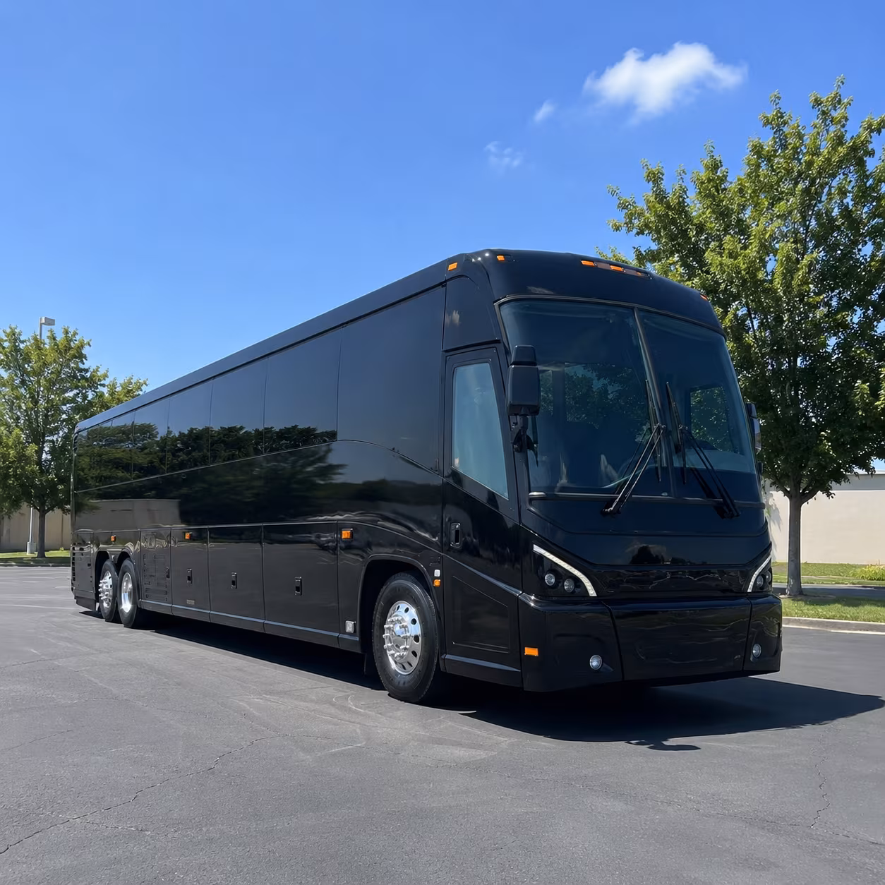 avondale 56 passenger charter bus