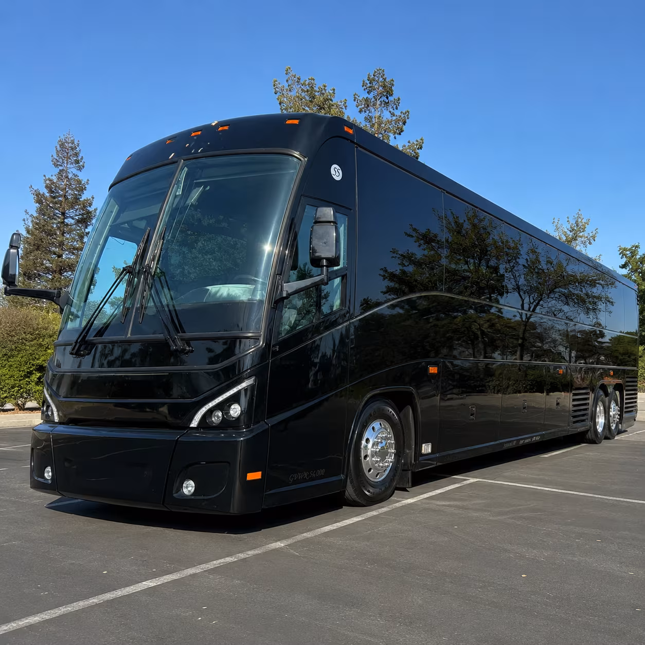 avondale bachelor bachelorette transportation onboard