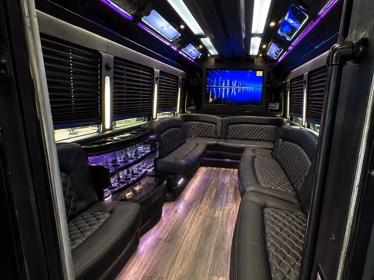 avondale birthday party bus rental