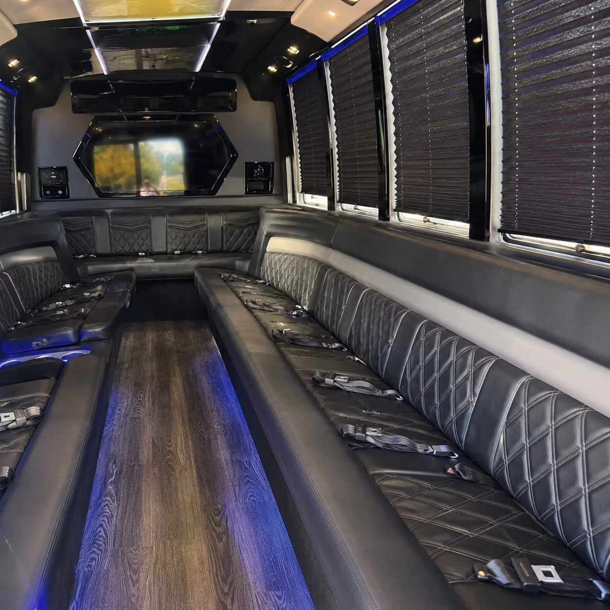 avondale night out party bus rental
