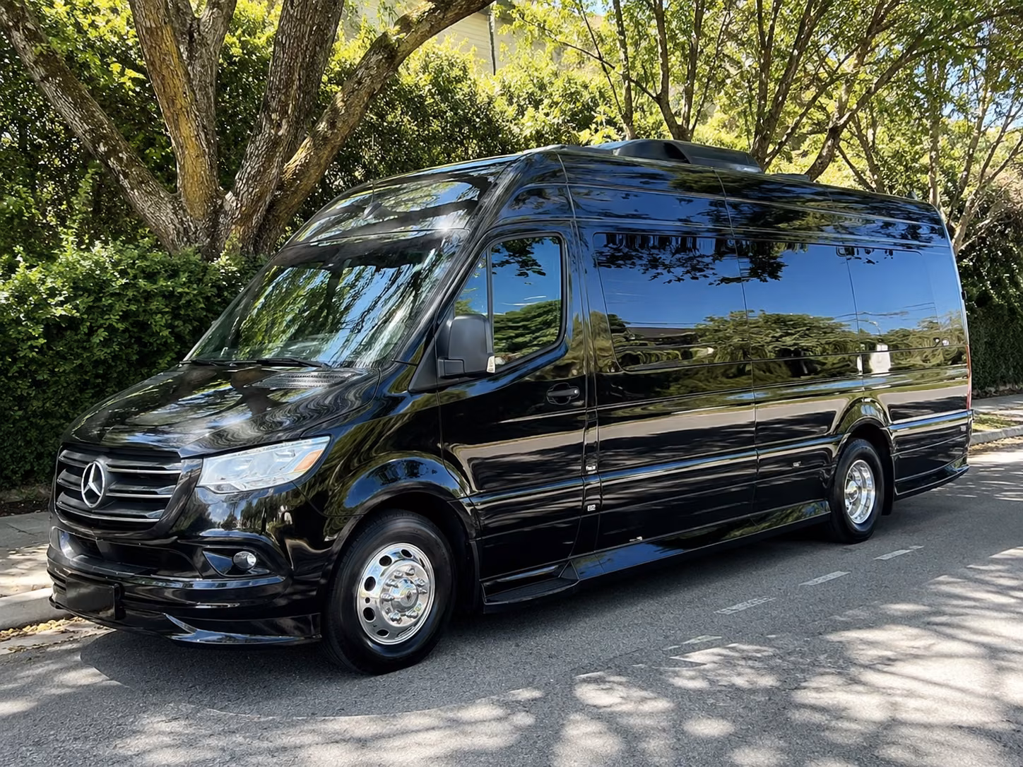 sprinter vans and minibuses for executive group transportation